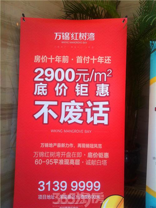 红树湾早期房价历史回顾与探究