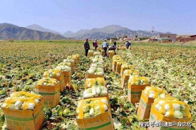 关于一斤最早情况的探讨与解析